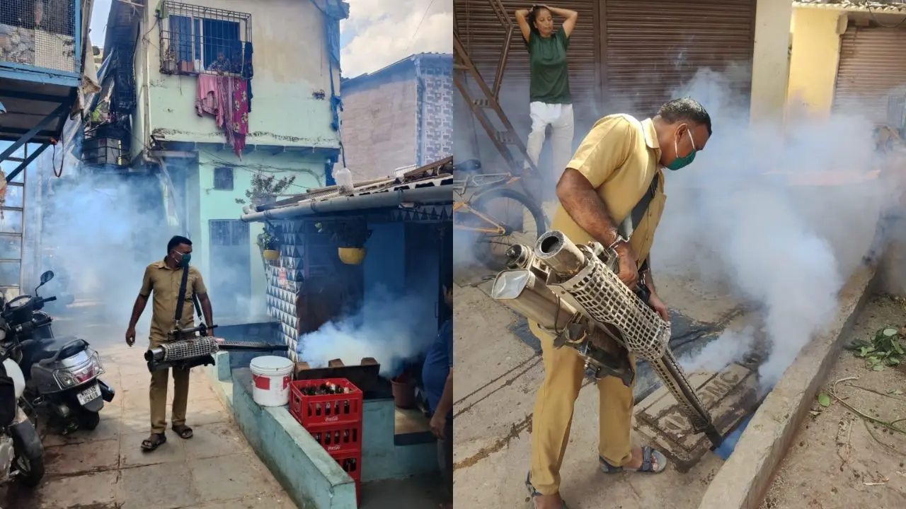​BMC ramps up pre-monsoon mosquito control drive; over 32 lakh homes inspected 