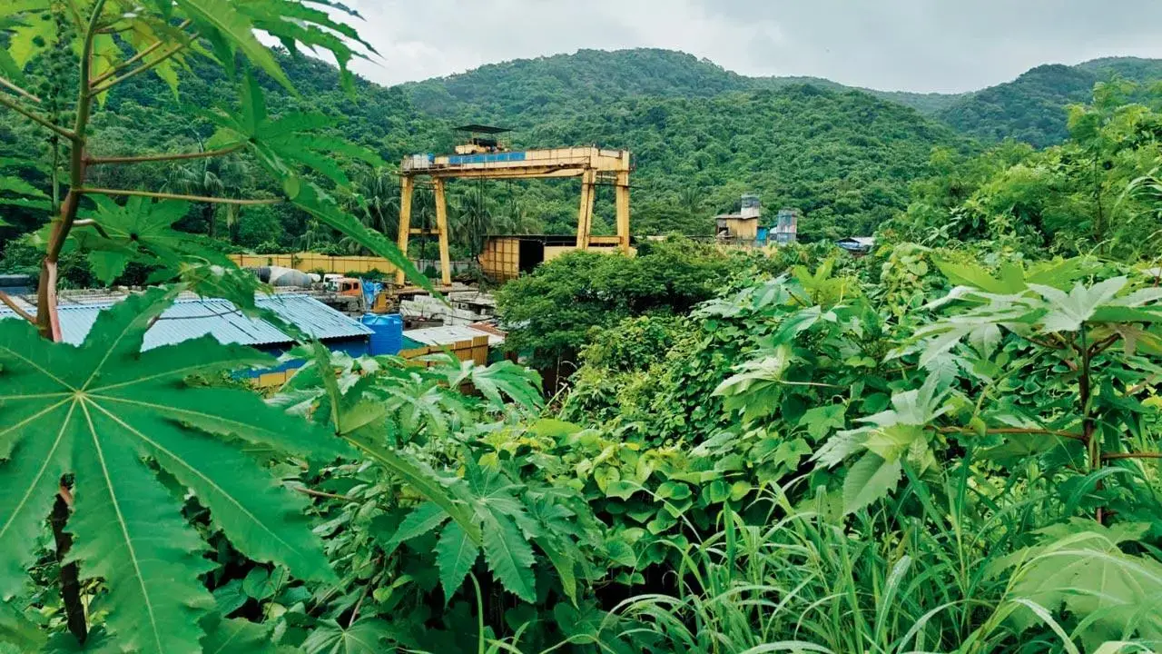 ​Mumbai: Proposal sent to rename Sanjay Gandhi National Park 